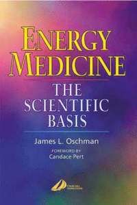 bokomslag Energy Medicine