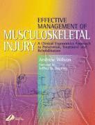 bokomslag Effective Management of Musculoskeletal Injury