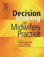 bokomslag Decision-Making in Midwifery Practice