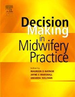 Maureen D. Raynor, Jayne E. Marshall, Amanda Sullivan - Decision-Making in Midwifery Practice, Häftad
