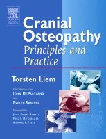 Torsten Liem - Cranial Osteopathy, Häftad