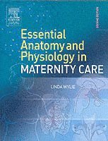 bokomslag Essential Anatomy & Physiology in Maternity Care