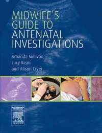 bokomslag Midwife's Guide to Antenatal Investigations