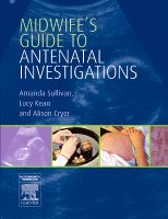 Amanda Sullivan, Lucy Kean, Alison Cryer - Midwife's Guide to Antenatal Investigations, Häftad