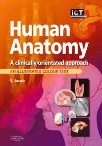 bokomslag Human Anatomy