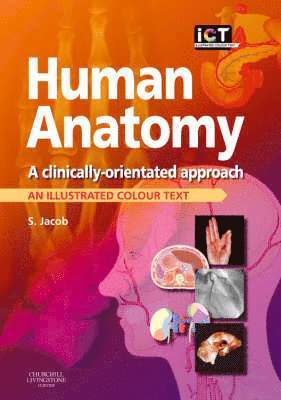 Human Anatomy 1