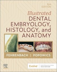 bokomslag Illustrated Dental Embryology, Histology, and Anatomy