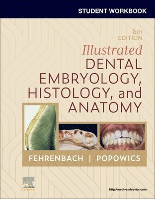 bokomslag Student Workbook for Illustrated Dental Embryology, Histology and Anatomy