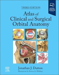 bokomslag Atlas of Clinical and Surgical Orbital Anatomy