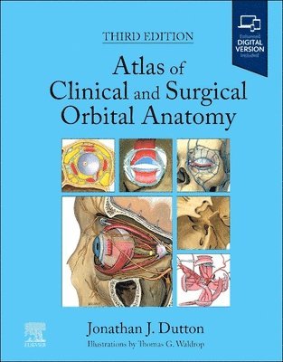 Atlas of Clinical and Surgical Orbital Anatomy 1