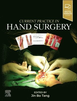 bokomslag Current Practice in Hand Surgery