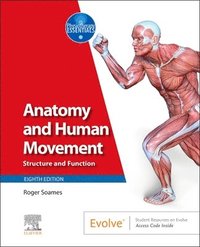 bokomslag Anatomy and Human Movement