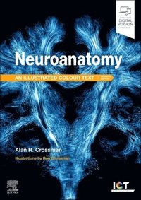 bokomslag Neuroanatomy: Illustrated Colour Text