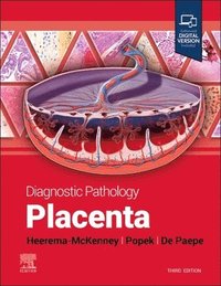 bokomslag Diagnostic Pathology: Placenta