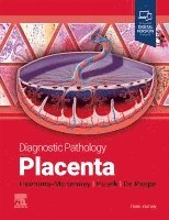 Amy Heerema-McKenney, Edwina J. Popek, Monique E. De Paepe - Diagnostic Pathology: Placenta, Inbunden
