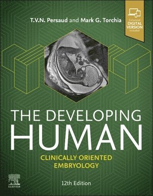 bokomslag Developing Human