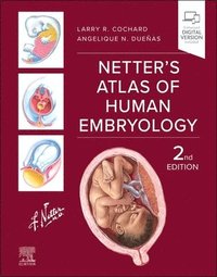 bokomslag Netter's Atlas of Human Embryology