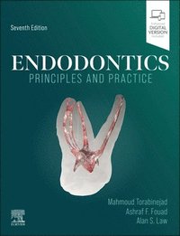 bokomslag Endodontics