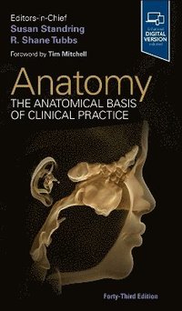 bokomslag Gray's Anatomy