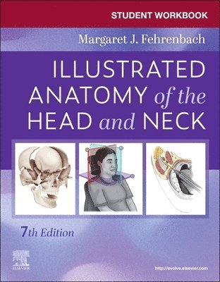 Student Workbook for Illustrated Anatomy of the Head and Neck