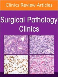 bokomslag The Current and Future Impact of Cytopathology on Patient Care, An Issue of Surgical Pathology Clinics