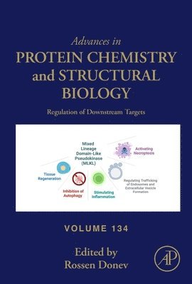 bokomslag Regulation of Downstream Targets