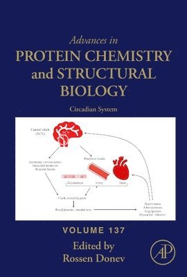 bokomslag Circadian System