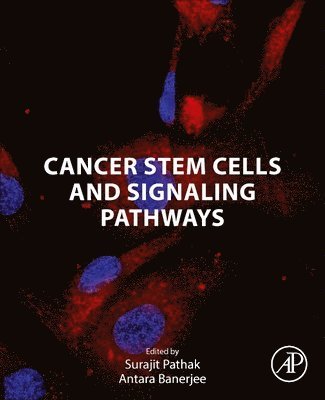 bokomslag Cancer Stem Cells and Signaling Pathways