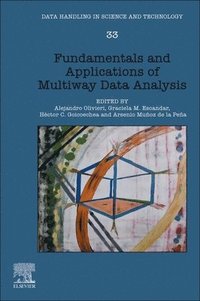 bokomslag Fundamentals and Applications of Multiway Data Analysis