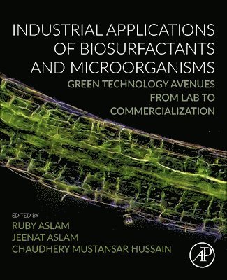 bokomslag Industrial Applications of Biosurfactants and Microorganisms