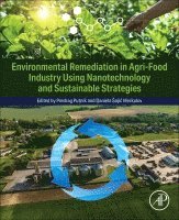 Predrag Putnik, Daniela Sojic Merkulov - Environmental Remediation in Agri-Food Industry Using Nanotechnology and Sustainable Strategies, Häftad