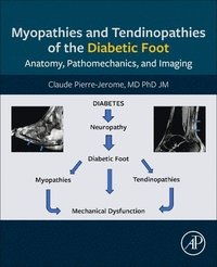 bokomslag Myopathies and Tendinopathies of the Diabetic Foot