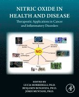 Lucia Morbidelli, Benjamin Bonavida, Jordi Muntan� - Nitric Oxide in Health and Disease, Häftad