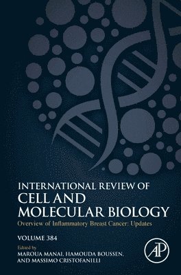 Overview of Inflammatory Breast Cancer: Updates 1