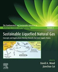 bokomslag Sustainable Liquefied Natural Gas