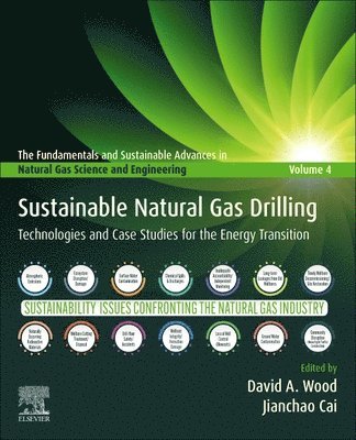 bokomslag Sustainable Natural Gas Drilling