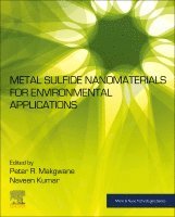 Peter R. Makgwane, Naveen Kumar - Metal Sulfide Nanomaterials for Environmental Applications, Häftad