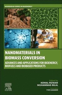bokomslag Nanomaterials in Biomass Conversion