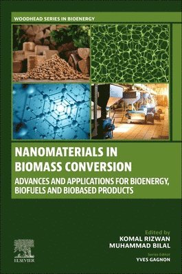Nanomaterials in Biomass Conversion 1