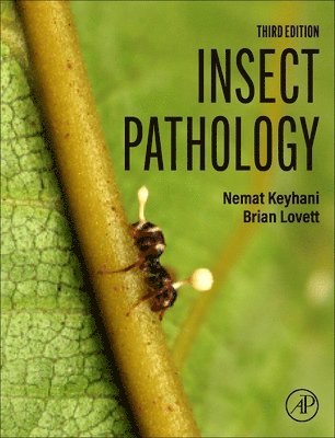 bokomslag Insect Pathology