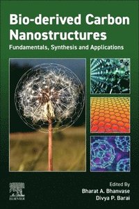 bokomslag Bio-derived Carbon Nanostructures