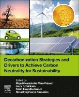 Decarbonization Strategies and Drivers to Achieve Carbon Neutrality for Sustainability 1