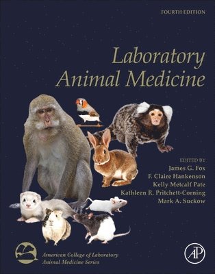 bokomslag Laboratory Animal Medicine