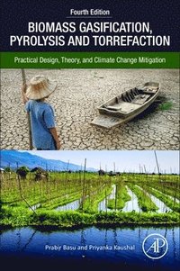 bokomslag Biomass Gasification, Pyrolysis, and Torrefaction