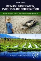 Prabir Basu, Priyanka Kaushal - Biomass Gasification, Pyrolysis, and Torrefaction, Häftad
