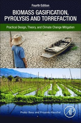 Biomass Gasification, Pyrolysis, and Torrefaction