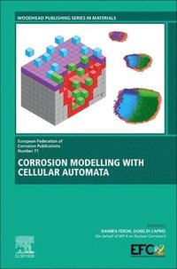 bokomslag Corrosion Modelling with Cellular Automata