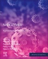 bokomslag Nanozymes