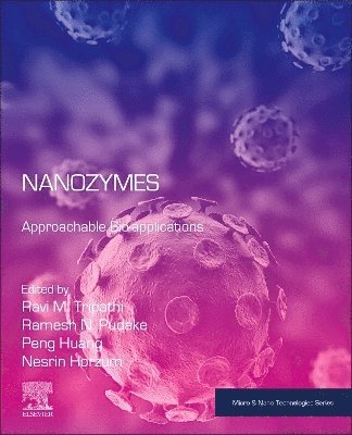 Ravi Mani Tripathi, Ramesh Namdeo Pudake, Peng Huang, NESRIN HORZUM - Nanozymes, Häftad