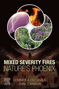 bokomslag Mixed Severity Fires